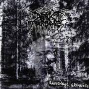 Le texte musical THE BEAST de DARKTHRONE est également présent dans l'album Ravishing grimness (1999)