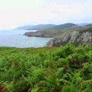 Le texte musical BENIJO de ANDRÉS SUAREZ est également présent dans l'album Cuando vuelva la marea (2012)