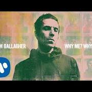 Le texte musical MEADOW de LIAM GALLAGHER est également présent dans l'album Why me? why not (2019)