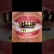 Le texte musical SCOTTIE PIPPEN de UFO361 est également présent dans l'album Ich bin ein berliner (2016)