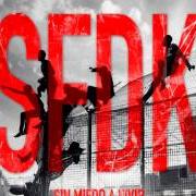 Le texte musical CANTANDO BAJO LA VIDA de SFDK est également présent dans l'album Sin miedo a vivir (2014)