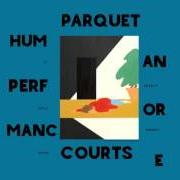 Le texte musical DUST de PARQUET COURTS est également présent dans l'album Human performance (2016)