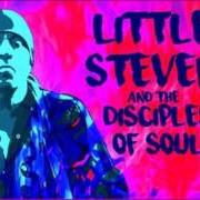 Le texte musical I'M COMING BACK de LITTLE STEVEN est également présent dans l'album Soulfire (2017)