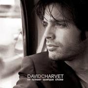 Le texte musical DAMN SHAME de DAVID CHARVET est également présent dans l'album Se laisser quelque chose (2004)