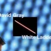 Le texte musical PLEASE FORGIVE ME de DAVID GRAY est également présent dans l'album White ladder (1998)