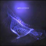 Le texte musical SIMON de AGORIA est également présent dans l'album Impermanence (2011)