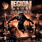 Le texte musical UNDEAD STILLBORN de LEGION OF THE DAMNED est également présent dans l'album Sons of the jackal (2007)