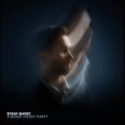 Le texte musical FEAR OF THE CAPITAL COLLAPSE de STRAY GHOST est également présent dans l'album A shade under thirty (2018)