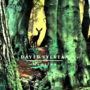 Le texte musical SMALL METAL GODS de DAVID SYLVIAN est également présent dans l'album Manafon (2009)