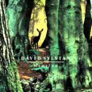 Le texte musical MANAFON de DAVID SYLVIAN est également présent dans l'album Manafon (2009)