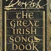 Le texte musical THE PARTING GLASS (FEAT. ABIGAIL WASHBURN) de DERVISH est également présent dans l'album The great irish songbook (2019)