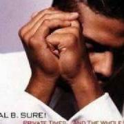 Le texte musical MISUNDERSTANDING de AL B. SURE! est également présent dans l'album Private times...And the whole 9! (1990)