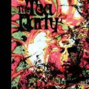 Le texte musical SAVE ME de TEA PARTY est également présent dans l'album The tea party (indie cd) (1991)