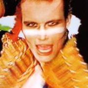 Le texte musical MOHAIR LOCKEROOM PINUP BOYS de ADAM AND THE ANTS est également présent dans l'album Super hits