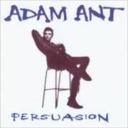 Le texte musical ALL GIRL ACTION de ADAM AND THE ANTS est également présent dans l'album Persuasion