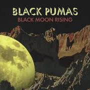 Le texte musical ELEANOR RIGBY de BLACK PUMAS est également présent dans l'album Black pumas (2020)