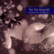Le texte musical CERTIFICA I CAMBIAMENTI NEL FRATTEMPO MATURATI de YO YO MUNDI est également présent dans l'album La casa del freddo (2004)