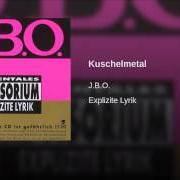 Le texte musical DER UM DAS KLO TANZT (KUCK MAL WER DA KACKT) de JBO est également présent dans l'album Explizite lyrik (1995)