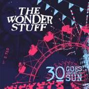 Le texte musical LAST DAYS OF THE FEAST de THE WONDER STUFF est également présent dans l'album 30 goes around the sun (2016)
