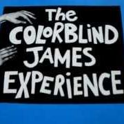 Le texte musical FLEDGLING CIRCUS de COLORBLIND JAMES EXPERIENCE est également présent dans l'album Colorblind james experience