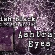 Le texte musical ASHTRAY EYES de PINKISH BLACK est également présent dans l'album Razed to the ground (2013)