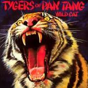 Le texte musical BADGER BADGER de TYGERS OF PAN TANG est également présent dans l'album Wild cat (1980)