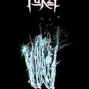Le texte musical NECROSAINT BLACK METAL de FURZE est également présent dans l'album Necromanzee cogent (2003)