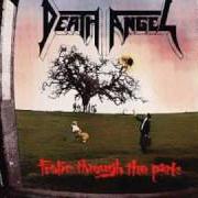 Le texte musical WHY YOU DO THIS de DEATH ANGEL est également présent dans l'album Frolic through the park (1988)