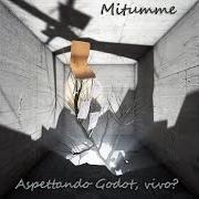 Le texte musical LA MIA REALTÀ de MITUMME est également présent dans l'album Aspettando godot, vivo?