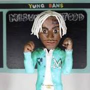 Le texte musical HOLD UP de YUNG BANS est également présent dans l'album Misunderstood (2019)