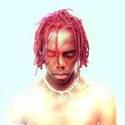 Le texte musical WISH I HAD de YUNG BANS est également présent dans l'album Yung bans vol. 5 (2018)