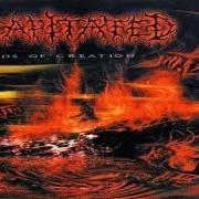 Le texte musical NINE STEPS de DECAPITATED est également présent dans l'album Winds of creation (2000)