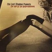 Le texte musical THE MEETING PLACE de THE LAST SHADOW PUPPETS est également présent dans l'album The age of the understatement (2008)