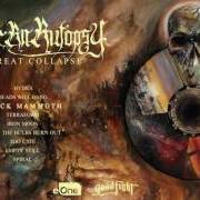 Le texte musical WHEN THE BULBS BURN OUT de FIT FOR AN AUTOPSY est également présent dans l'album The great collapse (2017)