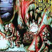 Le texte musical FLY SHRINE de DEEDS OF FLESH est également présent dans l'album Inbreeding the anthropophagi (1997)