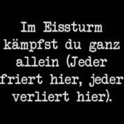 Le texte musical WARUM? de PANIK est également présent dans l'album Niemand hört dich (2007)