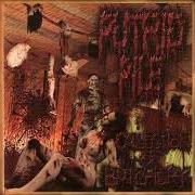 Le texte musical DRENCHED IN GASOLINE de PUTRID PILE est également présent dans l'album Collection of butchery (2003)