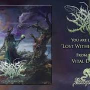 Le texte musical THE BLOOD de SIGNS OF THE SWARM est également présent dans l'album Vital deprivation (2019)