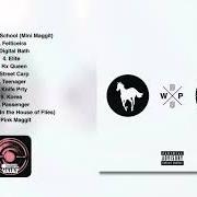 White pony White pony