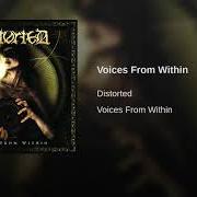 Le texte musical CONSISTENT DUALITY de DISTORTED est également présent dans l'album Voices from within (2008)