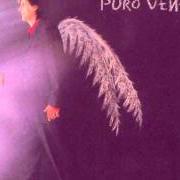 Le texte musical JOSELITO de KIKO VENENO est également présent dans l'album Puro veneno (1998)