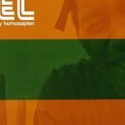 Le texte musical STYLE POLICE de DEL THA FUNKEE HOMOSAPIEN est également présent dans l'album Both sides of the brain (2000)