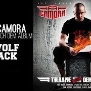 Le texte musical YO - REMIX de RAF CAMORA est également présent dans l'album Therapie nach dem album (2010)