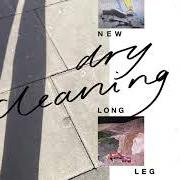 Le texte musical NEW LONG LEG de DRY CLEANING est également présent dans l'album New long leg (2021)