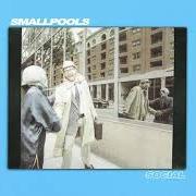 Le texte musical BEGGAR de SMALLPOOLS est également présent dans l'album So social (2018)