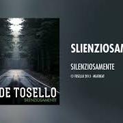Le texte musical DUBLINO de DAVIDE TOSELLO est également présent dans l'album Silenziosamente (2013)
