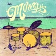 Le texte musical SAY IT, JUST SAY IT de THE MOWGLI'S est également présent dans l'album Waiting for the dawn (2013)
