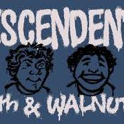 Le texte musical RIDE THE WILD de DESCENDENTS est également présent dans l'album 9th & walnut (2021)