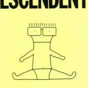 Le texte musical NO FB de DESCENDENTS est également présent dans l'album I don't want to grow up (1985)