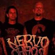 Le texte musical TOTAL SATAN de NERVOCHAOS est également présent dans l'album Live rituals (2011)